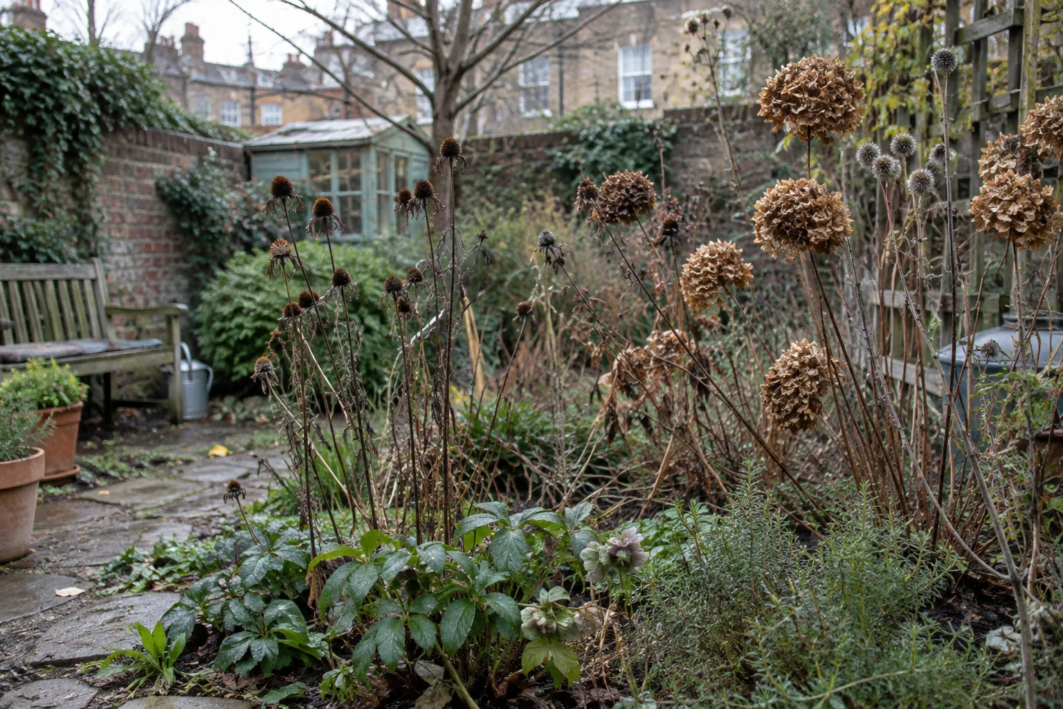 Des tiges sèches et des fleurs fanées restent debout dans un massif de jardin.