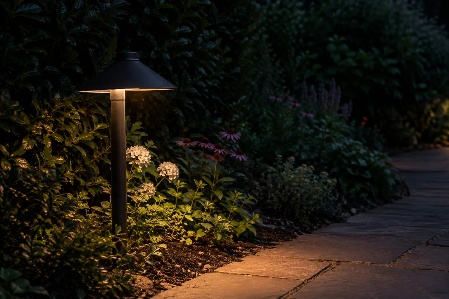 Un luminaire protégé dirige sa lumière vers le sol, tandis que la haie voisine reste dans l’obscurité.