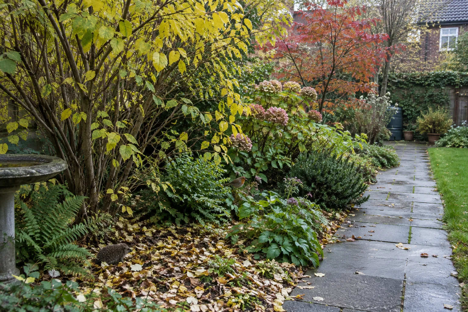 Feuilles mortes regroupées sous des arbustes dans un jardin d’automne.