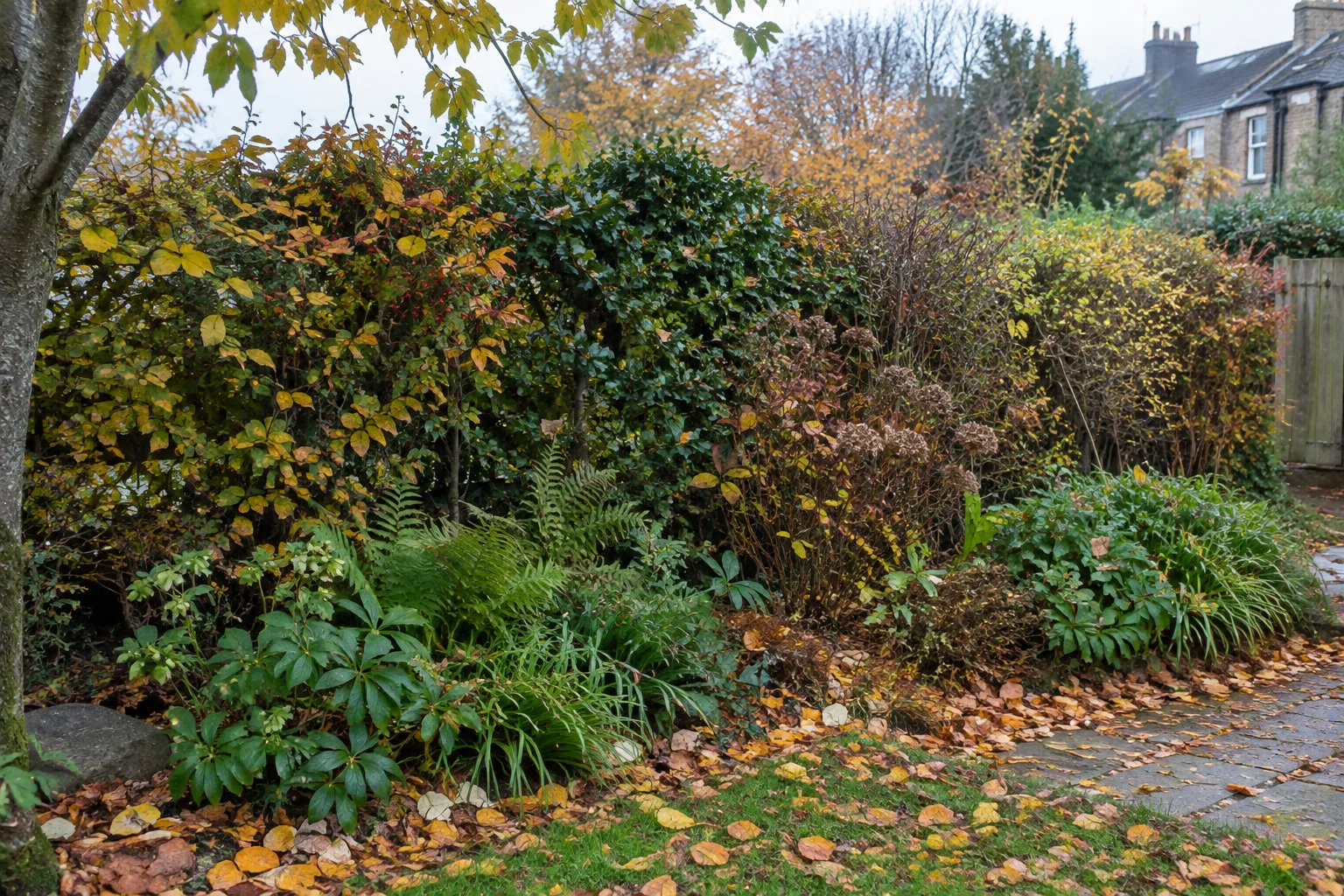 Des feuilles mortes couvrent le sol au pied d’une haie dans un jardin.